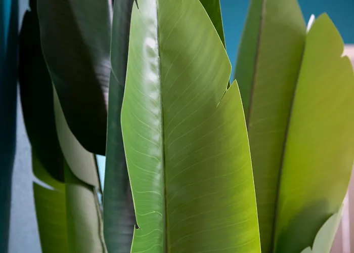 Apartment Le Saint-quentin - Avec Terrasse *